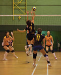 _P1B7488 - Version 2