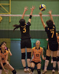 _P1B7494 - Version 2