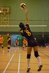_P1B7500 - Version 2
