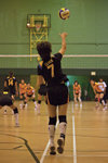 _P1B7517 - Version 2