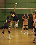 _P1B7520 - Version 2