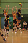 _P1B7521 - Version 2