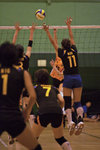 _P1B7526 - Version 2