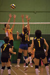 _P1B7528 - Version 2