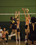 _P1B7532 - Version 2