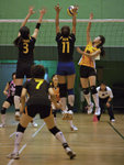 _P1B7552 - Version 2