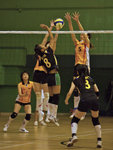 _P1B7554 - Version 2