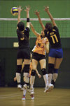 _P1B7555 - Version 2