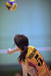_P1B7575 - Version 2