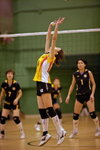 _P1B7594 - Version 2R