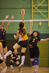 _P1B7595 - Version 2
