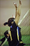 _P1B7740 - Version 2R