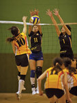 _P1B7776 - Version 2