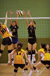 _P1B7786 - Version 2R