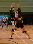 _P1B2311 - Version 2R