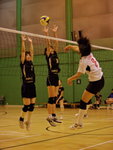 _P1B2337 - Version 2R