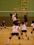 _P1B2357 - Version 2R