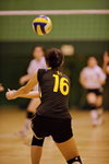 _P1B2456 - Version 2R
