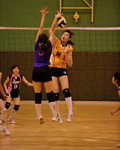 _P1B2687 - Version 2R