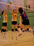 _P1B2710 - Version 2R