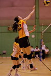 _P1B2729 - Version 2R