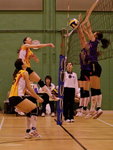 _P1B2730 - Version 2R