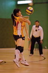 _P1B2831 - Version 2R