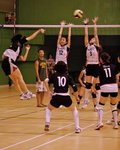 _P1B2943 - Version 2R
