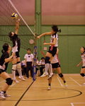 _P1B2994 - Version 2R