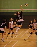 _P1B3160 - Version 2R