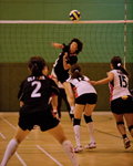 _P1B3208 - Version 2R