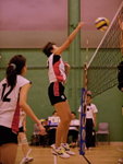 _P1B3260 - Version 2R
