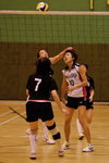 _P1B3314 - Version 2R