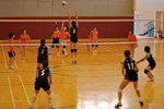 _P1B5785 - Version 2