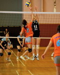 _P1B5801 - Version 2