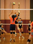 _P1B5828 - Version 2