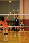 _P1B5838 - Version 2