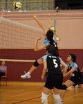 _P1B6001 - Version 2