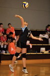 _P1B6038 - Version 2