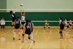 _P1B6093 - Version 2