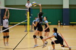 _P1B6113 - Version 2