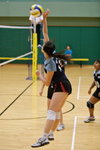 _P1B6117 - Version 2