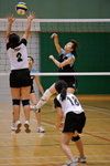 _P1B6133 - Version 2