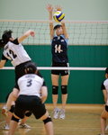 _P1B6155 - Version 2