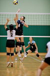 _P1B6167 - Version 2
