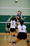 _P1B6177 - Version 2