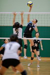 _P1B6225 - Version 2
