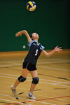 _P1B6227 - Version 2