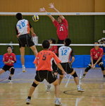 VP1B4517