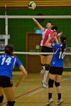 VP1B2005